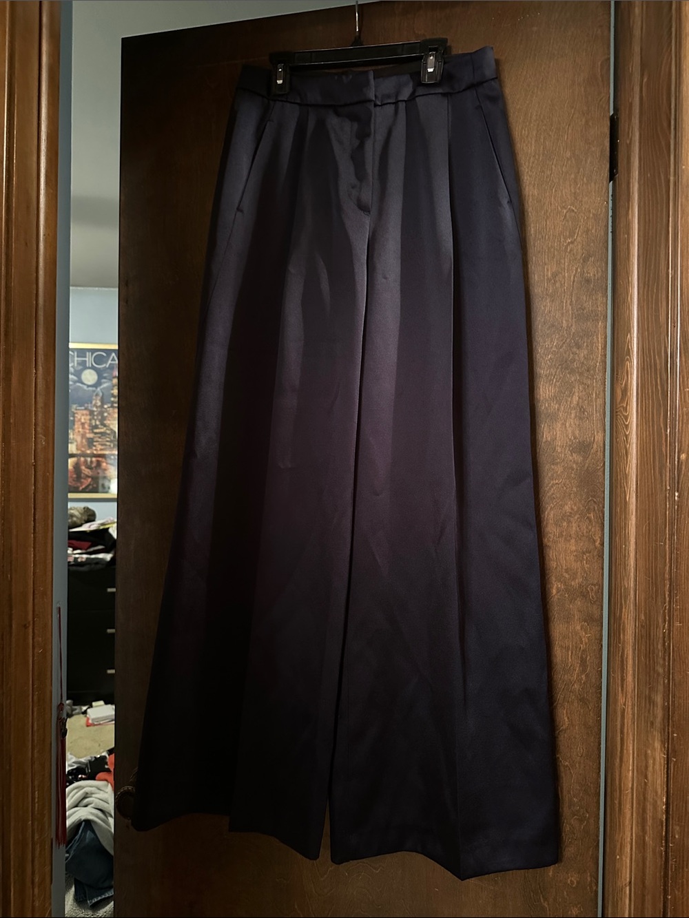 Zara Navy Wide Leg Dress Pants